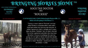 MISSING EQUINE Rock The Doctor (Rocksie) January 2017 Near Minden, NV, 89423